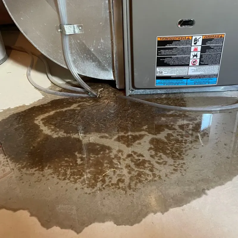 Pipe Burst and Leak Restoration in Danvers, MA